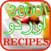 3000 Urdu Recipes icon