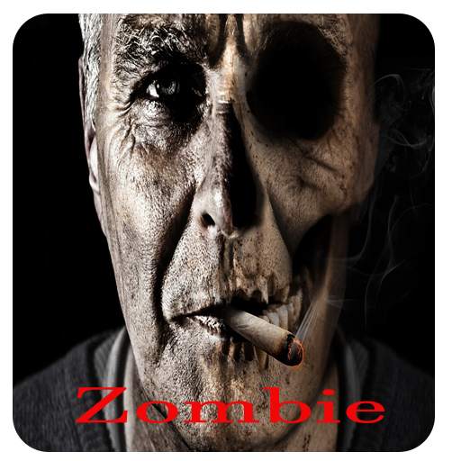 zombie booth 2017 1.2
