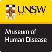 Museum 1.5