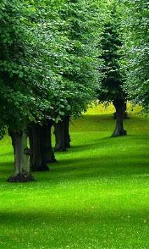 Green Nature wallpaper screenshot 1