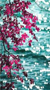 Wallpapers Iphone Lock Screen screenshot 26