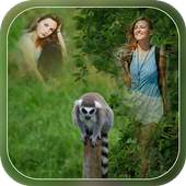 Transparent Wild Animal Photo Frame - Multi Photos 1.0