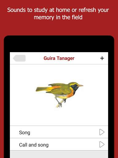Birds of Peru screenshot 14
