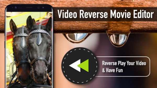 Video Reverse Movie Editor screenshot 2