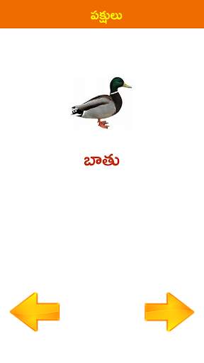 Telugu World Pillala Learning App screenshot 5