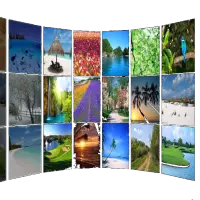 Gallery Wall 3D