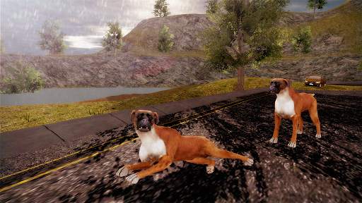Boxer Dog Simulator screenshot 16