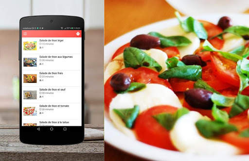 Recettes de Salades screenshot 12