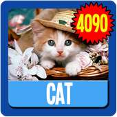 Cat Wallpaper HD Complete