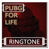 Pubg Mp3 Offline Songs 1.0