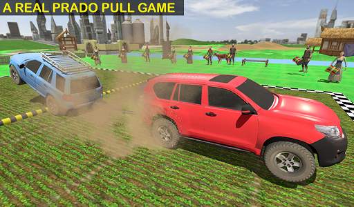 Prado Pull screenshot 8