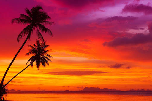 Sunset Wallpaper screenshot 3