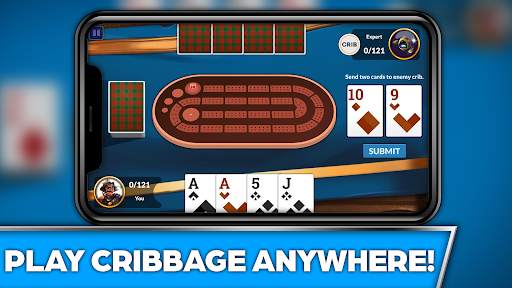 Cribbage Offline Card Game screenshot 5