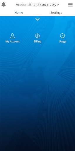 Bihar Bijli Smart Meter screenshot 2