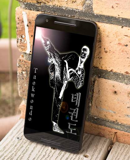 Martial Art Wallpaper screenshot 7