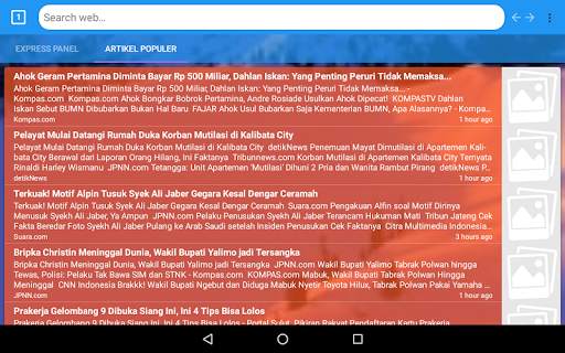 Everest Web Browser screenshot 5