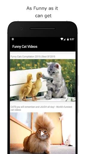 Funny Cat Videos screenshot 4