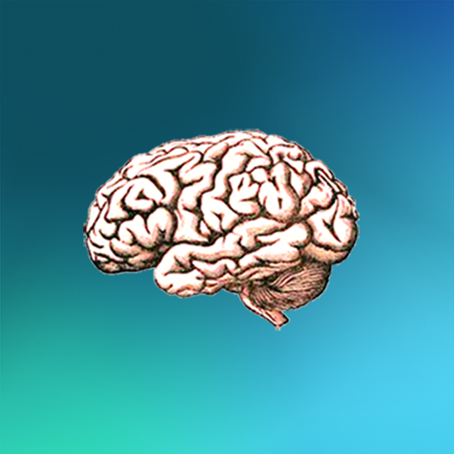 Brain Box icon