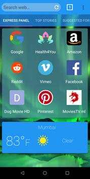 Incognito Safe Browser And Safe Lifetime screenshot 1