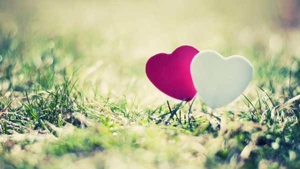 Love images wallpaper 1 تصوير الشاشة