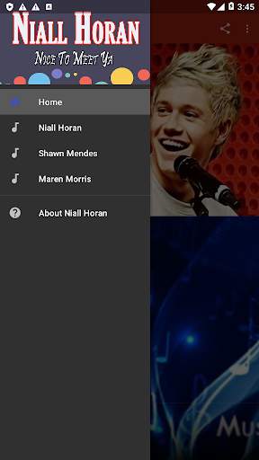 Niall Horan ~ New Songs screenshot 1