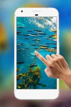 Water Garden Ripple Live Wallpaper screenshot 4