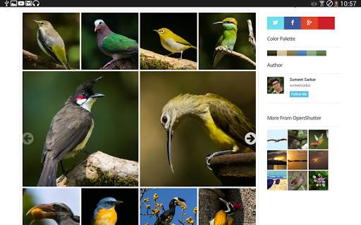 Openshutter-Photography &photo screenshot 15