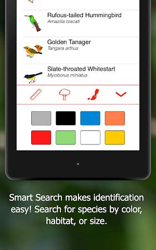 Birds of Ecuador screenshot 10