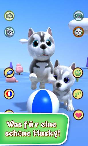 Im Gespräch Husky screenshot 4