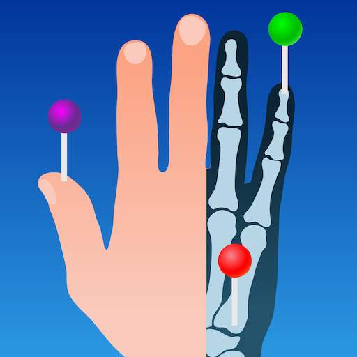 e-Anatomy 7.1.10