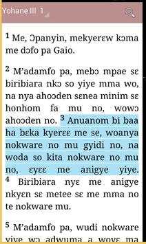 ASANTE TWI BIBLE скриншот 2