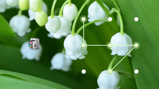 AppLock Lily of the Valley screenshot 4