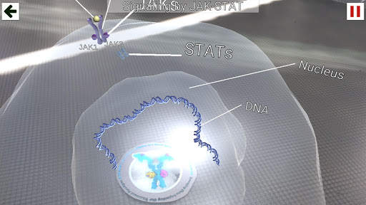 RA Augmented Reality скриншот 3