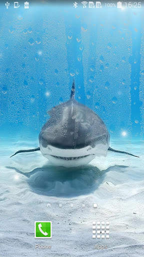 Shark Live Wallpaper screenshot 1