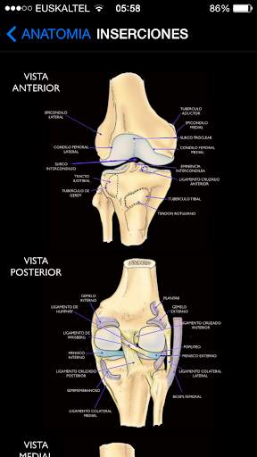 Rodilla App screenshot 2