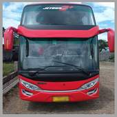 Bus Mania Double Decker 1.0