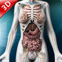 Human anatomy 3D : Organs and Bones logo