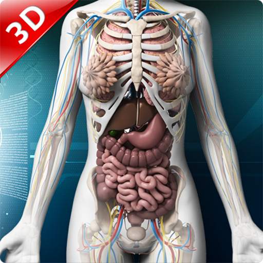 Human anatomy 3D : Organs and Bones 1.2