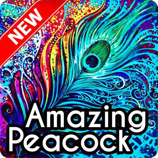 Peacock Wallpaper 1.4
