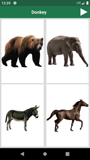 Learn Animals and Birds in English - Quiz screenshot 3
