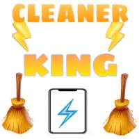 Cleaner King logo