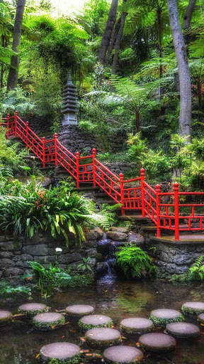 Zen Garden Wallpapers screenshot 4