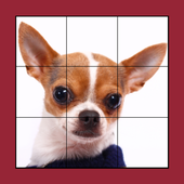 Dog Puzzles Extreme! आइकन