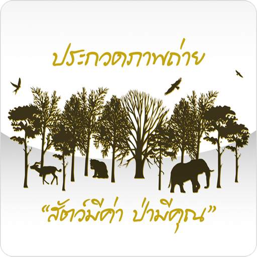True Photo Contest 2.4