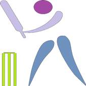 Cricket update 0.0.2