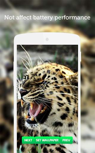 Leopard Wallpaper screenshot 7