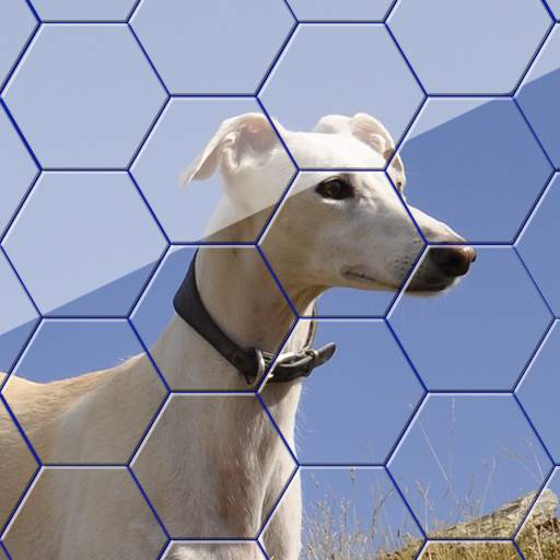 Hexa Jigsaw - Dogs jigsaw puzzle game 