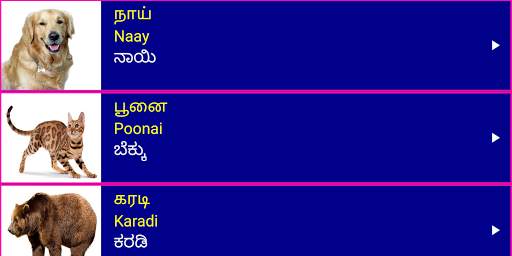 Learn Tamil From Kannada screenshot 11