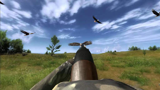 Flying Jungle Sniper Birds Hunting 3D game 2020 screenshot 3