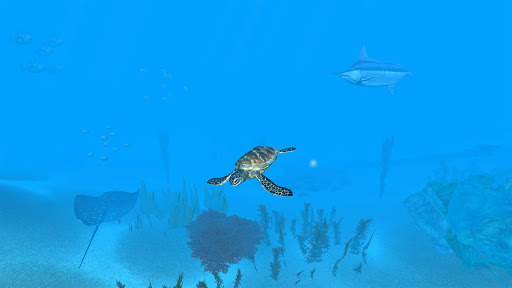 VR Ocean Aquarium 3D screenshot 1